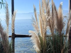 -六阅·福十 FORTEN 海景咖啡西餐厅(双廊古镇店)