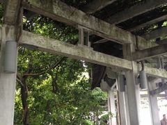 -西湖游船