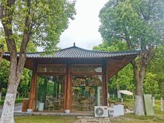 -长田漾湿地公园