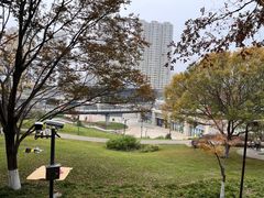 -宁波儿童公园(鄞州区)