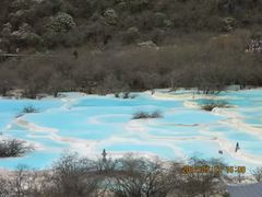 -黄龙山原始森林景区