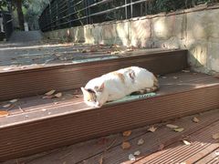 -苏州河梦清园环保主题公园