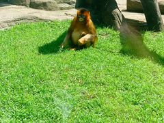 -大连森林动物园