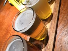 -麦落精酿啤酒餐吧(先农大院店)