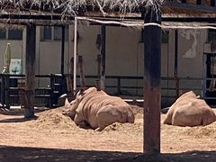 -鄂尔多斯野生动物园