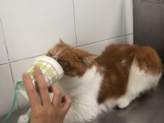 -北京赛佳动物医院