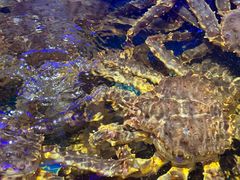 -驻海渔市(置信店)