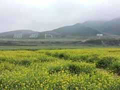 -扁都口生态休闲旅游区