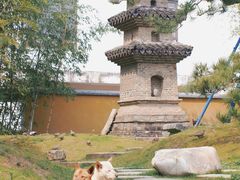 -龙华寺