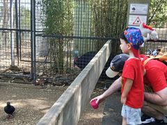 -费瑟代尔野生动物园