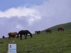 -灵山