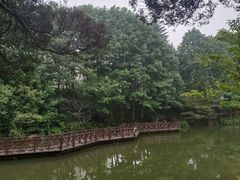 -四明山国家森林公园