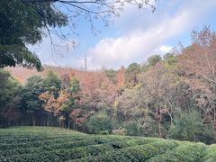 -敬亭山风景名胜区