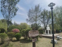 -莫子山公园