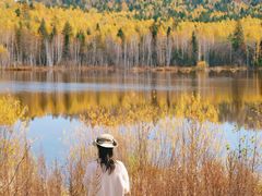 -五营红松林海景区