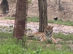 -秦皇岛野生动物园