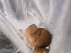 -金盆阿嬷香菇茶叶蛋(玄光店)