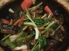 -广东道至正餐厅(区庄店)