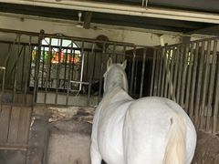 -梦娜斯庄园