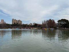 -青枫公园