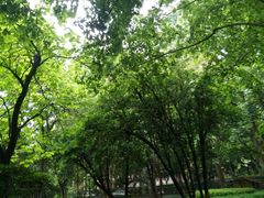 -浙江大学(玉泉校区)