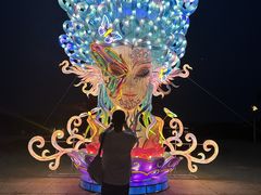 -金卉庄园