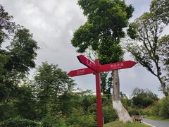 -东莞植物园