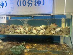 -仙螺岛海鲜自助餐厅(总店)