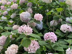 -西安创业咖啡街区