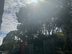 -鹿栖.精油SPA(金山世纪城店)