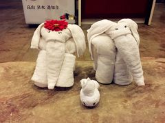 -天目湖涵田半山温泉