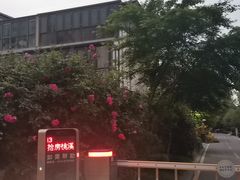 -田园东方蜜桃村的田野营地