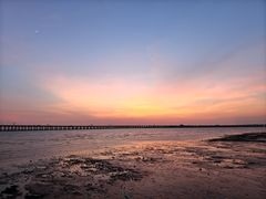 -宝安西湾红树林湿地公园