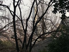 -伯先公园