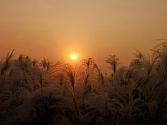 -盘龙城国家考古遗址公园