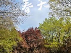 -济南森林公园