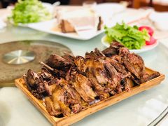 -食家鸽园