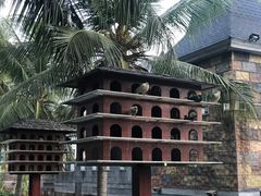 -芽庄珍珠岛游乐园