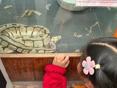 -上海大自然野生昆虫馆(东方明珠·爬宠昆虫探索中心)