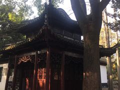 -汇龙潭