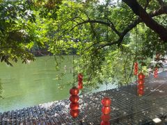 -侨美·唐荔园·40年地道粤菜