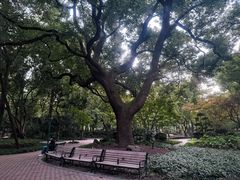 -中山公园