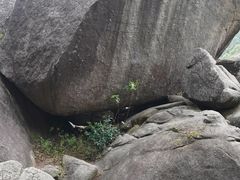 -火炉山森林公园