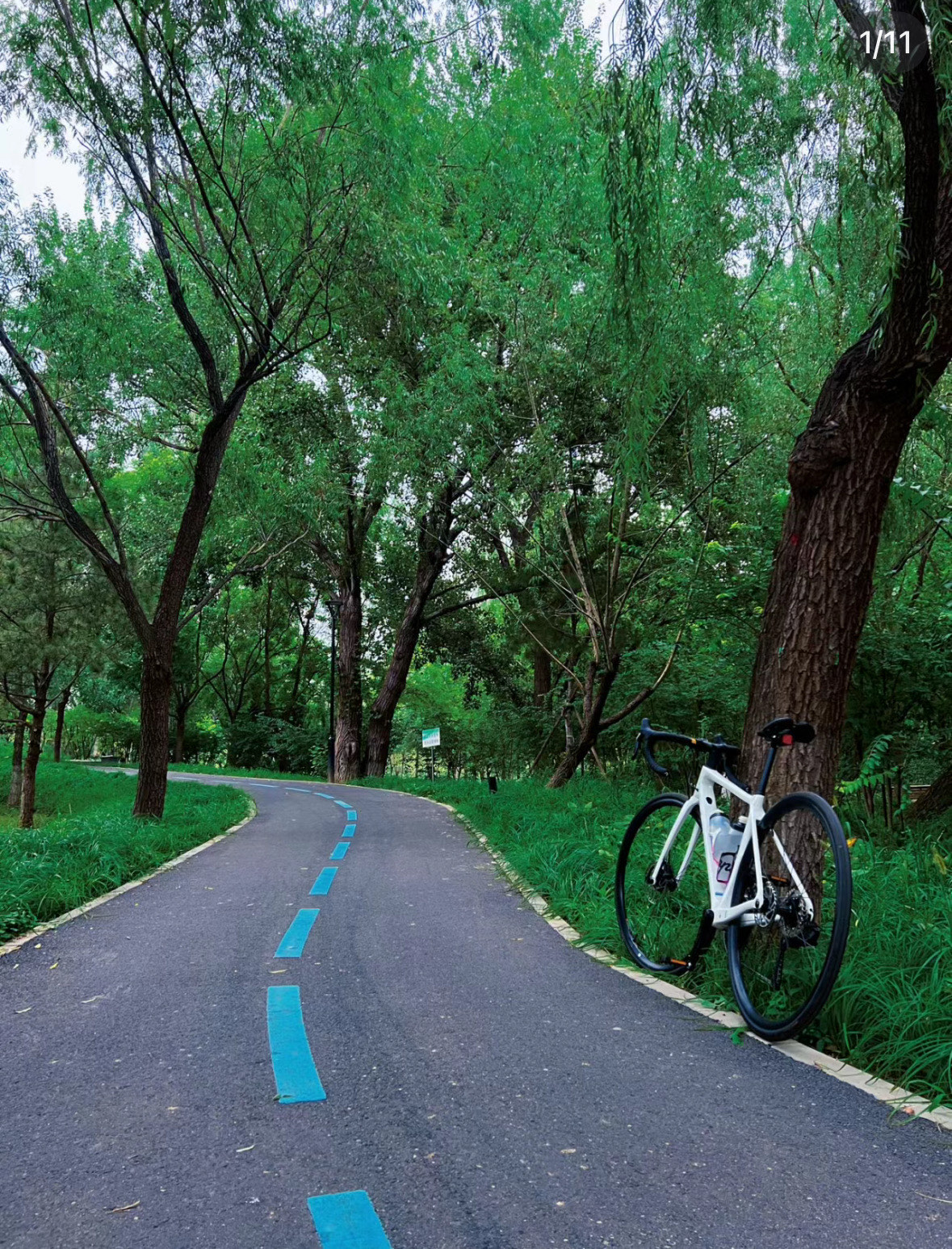 北京十大骑行公园图片