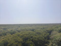 -北海金海湾红树林生态旅游区