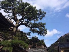 -城崎温泉 外七汤