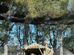 -上海野生动物园