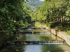 -广州白江湖森林公园