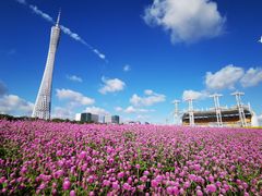 -海心沙亚运公园