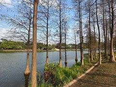 -东莞植物园